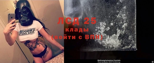 ПСИЛОЦИБИНОВЫЕ ГРИБЫ Алексин