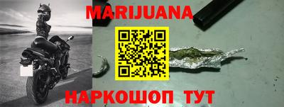 прущие грибы Камышлов