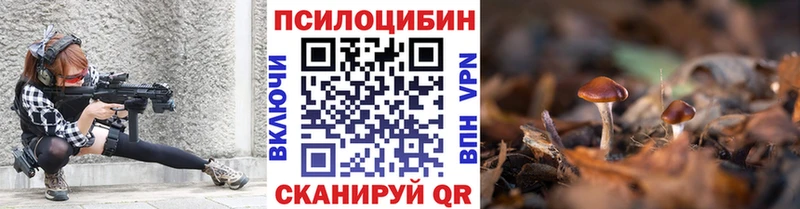 купить Нарткала blacksprut сайт площадка какой сайт Галлюциногенные грибы прущие грибы